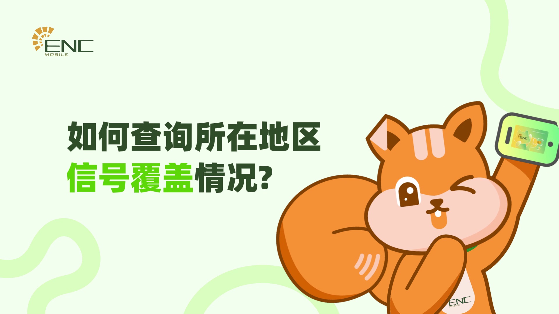 如何查询所在地区信号覆盖情况?
